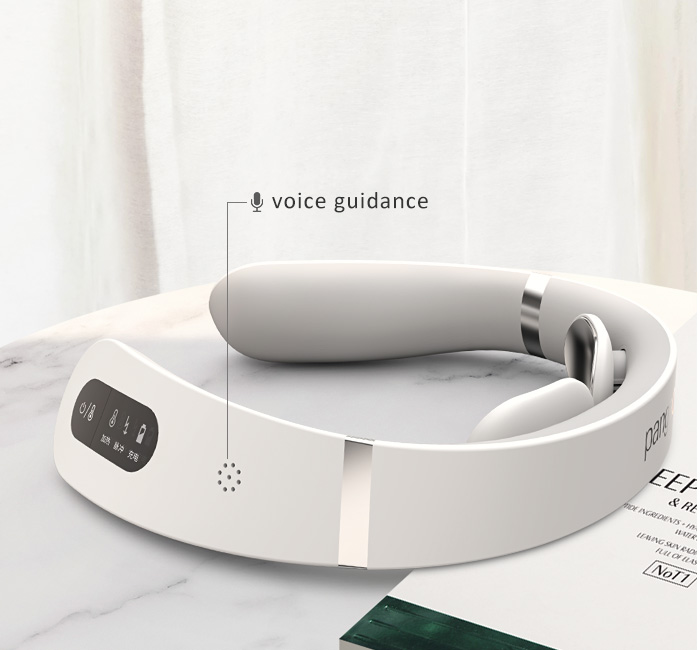 Voice Guidance