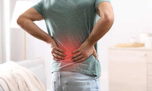 A Comprehensive Physical Therapy Treatment for Lower Back Pain