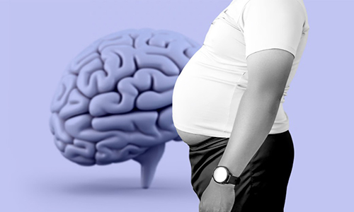 The Health Risks of Abdominal Obesity
