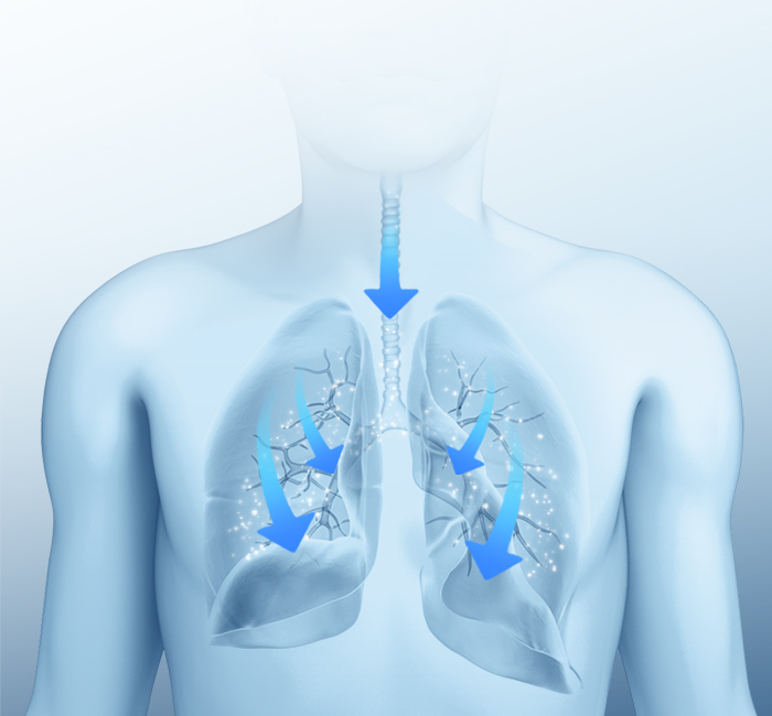 Fine Mist Particles
Directly Reach Lung Lesions