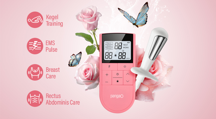 Electric EMS Kegel Exercise Pelvic Floor Muscle Stimulator for Women