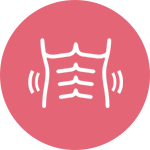 rectus abdominis care