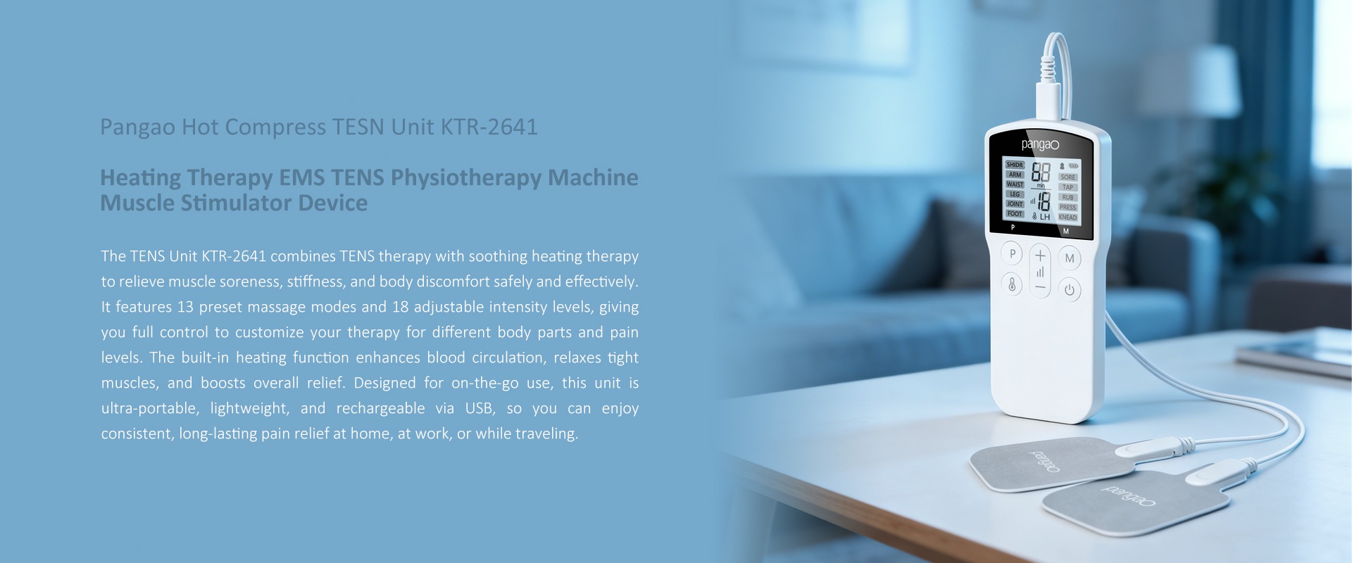 Profesional Body Massager EMS TENS Therapy Machine with Heat