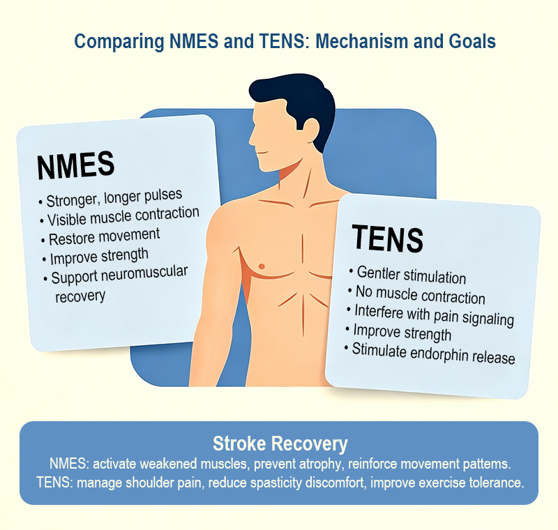 Pangao-NMES and TENS Explained Electrical Stimulation for Rehab and Pain Relief (3).jpg