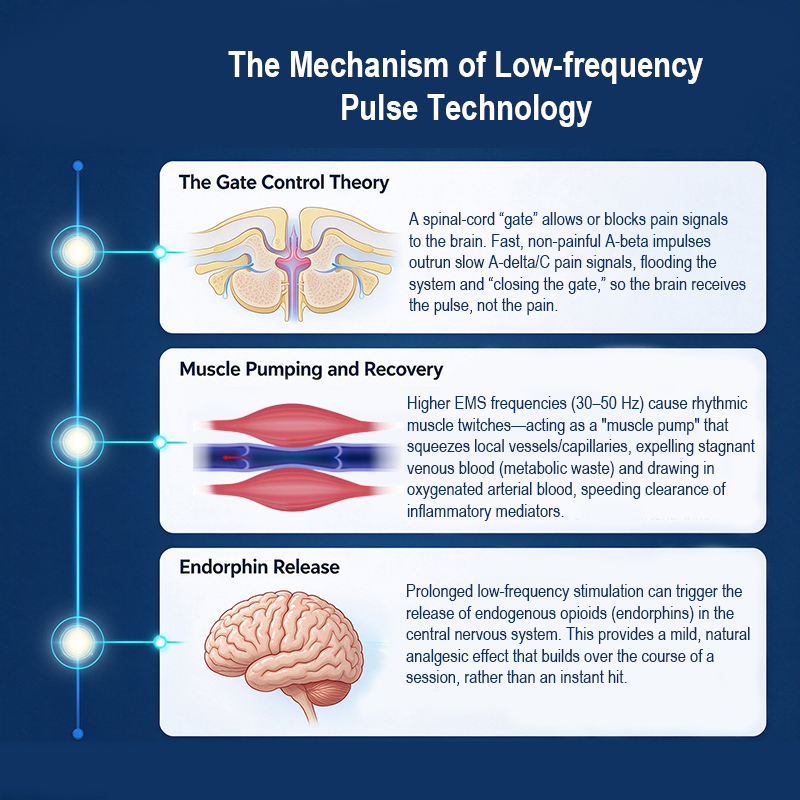 Pangao-How Low-Frequency Pulse Technology Is Changing the Way We Treat Neck Pain (2).jpg